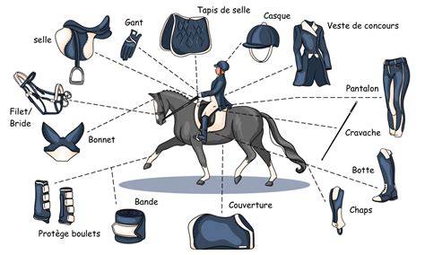 Vue d'un cheval portant un nouvel accessoire (selle colorée) dans Horse World