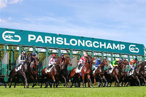 Chevaux pur-sang en course sur une piste d'hippodrome