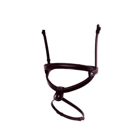 Schéma de l'ajustement de la muserolle