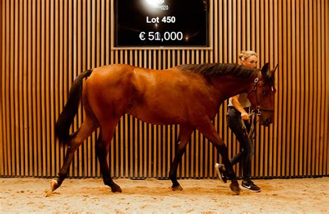 Vente aux enchères de chevaux de trot