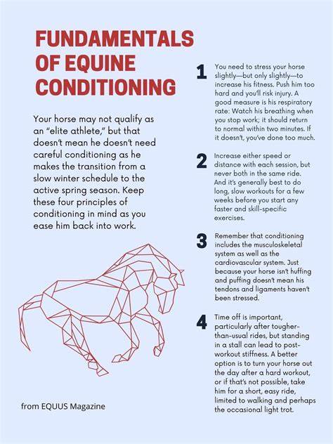 Diagram illustrating the principles of gentle and precise equestrian techniques