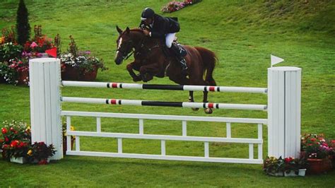Cavalier et cheval franchissant un obstacle de saut d'obstacles