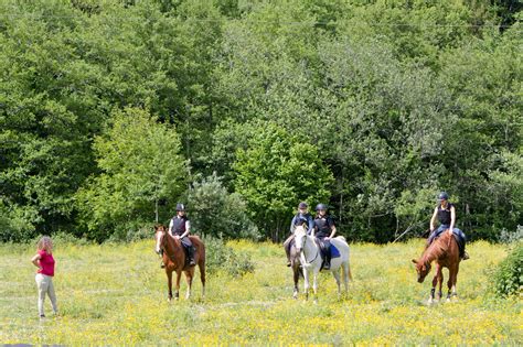 Cavaliers s'échauffant avec leurs chevaux dans une carrière de détente