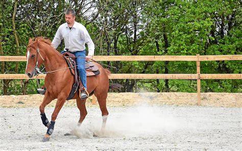 Schéma d'un arrêt glissé en reining