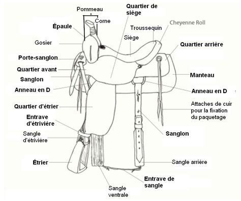 Schéma d'une selle western avec les fenders mis en évidence
