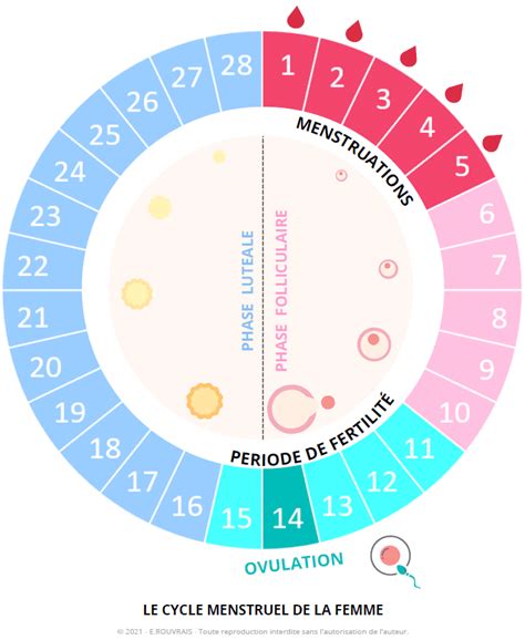 Schéma du cycle de reproduction du panga avec ovulation artificielle