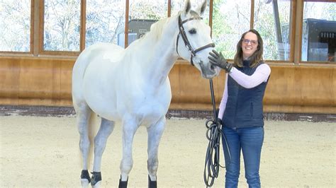 Julie Lavergne donnant une leçon à un cheval
