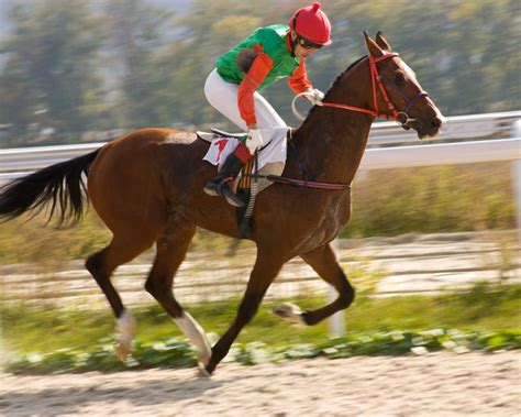 Cheval de course en pleine action