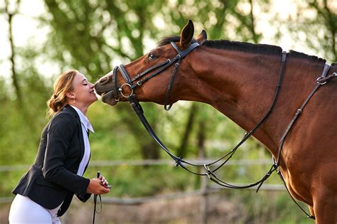 Cheval et cavalier en communication