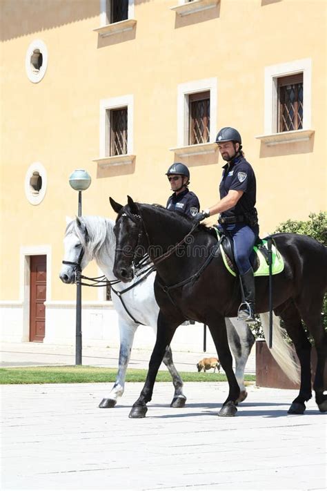 Police montée lors d'un événement sportif