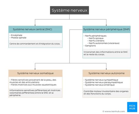Schéma illustrant le système d'arbitrage à trois et le rôle de superviseur