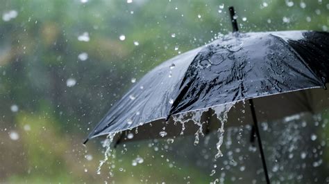 Piste d'hippodrome sous la pluie