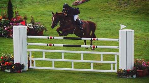 Cheval sautant un obstacle en CSO