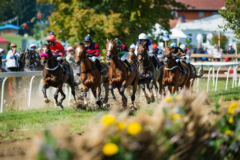 Diagramme de sélection de chevaux pour une course