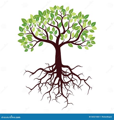 Illustration d'un arbre stylisé avec des racines profondes