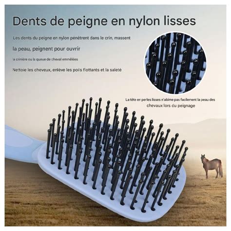 Crinière et queue de cheval démêlées et soignées