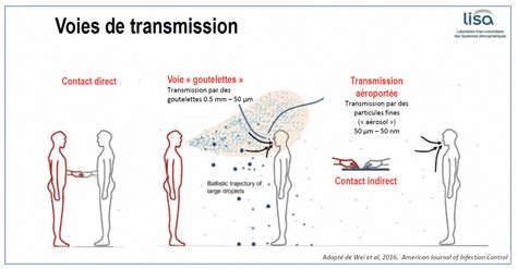 Schéma illustrant les voies de transmission des maladies vénériennes équines.