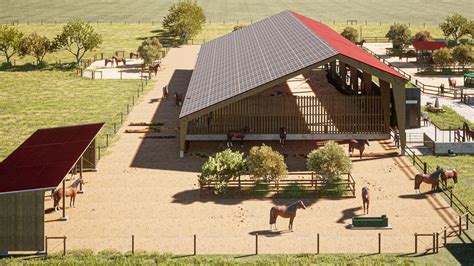 Structure d'une organisation équestre