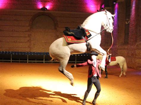 Anaïs Montay en spectacle avec son cheval Andalou