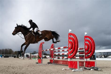 Cavalier effectuant un saut d'obstacles lors d'une compétition