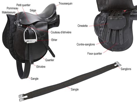 Schéma illustrant les différentes tailles de selle et leur impact sur le dos du cheval