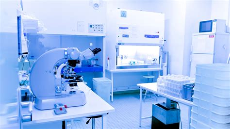 Un cheval dans un laboratoire de recherche éthologique