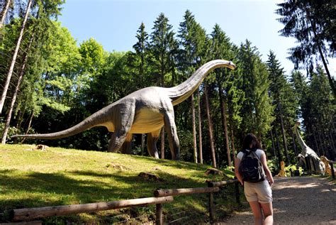 Parc Dino-Zoo avec des sculptures de dinosaures