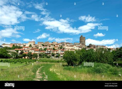 Paysage rural de Montpeyroux