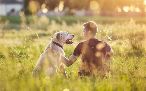 Chien et humain en harmonie