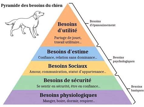 Diagramme des instincts canins