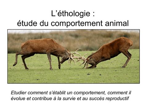 Symbole de l'éthologie animale