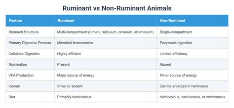Diagramme comparatif des systèmes digestifs : ruminant vs non-ruminant