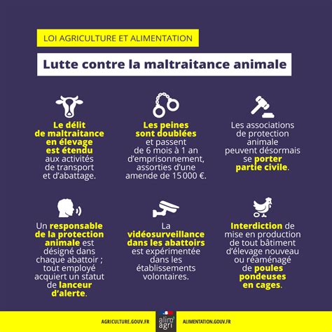 Illustration de la loi sur la protection animale