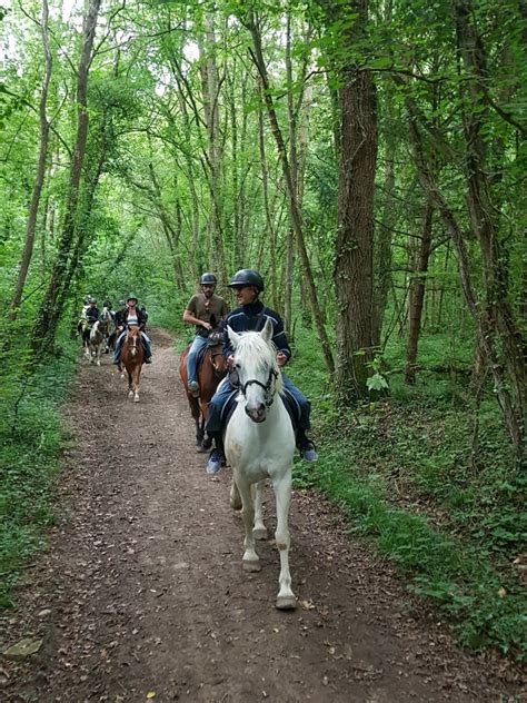 Cavaliers se promenant en forêt