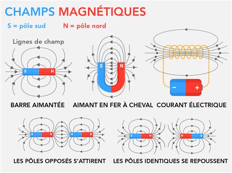 Illustration d'un cheval portant une couverture magnétique avec des points représentant des champs magnétiques