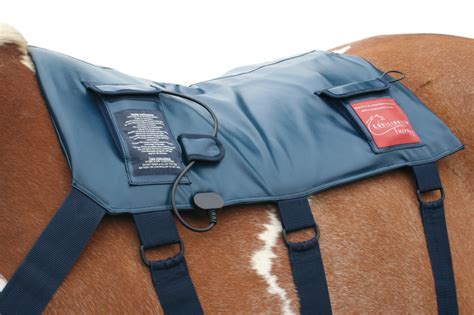 Cheval relaxé sous une couverture massante