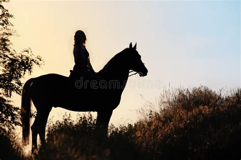 Silhouette d'une jeune fille regardant un cheval au loin