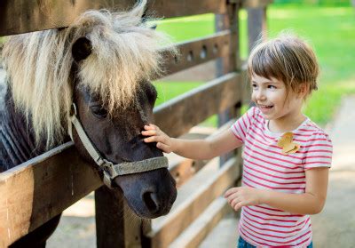 Enfants caressant un poney