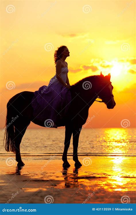 Cheval sur la plage au coucher du soleil