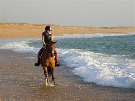 Couple montant à cheval sur la plage