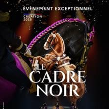 Représentation du Cadre Noir de Saumur
