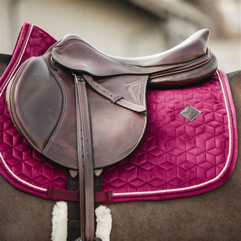 Cheval avec un tapis de selle coloré
