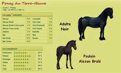 Diagramme montrant l'évolution de la population du Poney Terre-Neuve