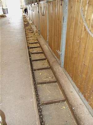 Schéma d'un système de chaîne à fumier dans une écurie avec caniveau couvert