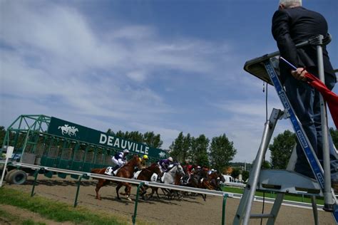 Stalles de départ sur un hippodrome