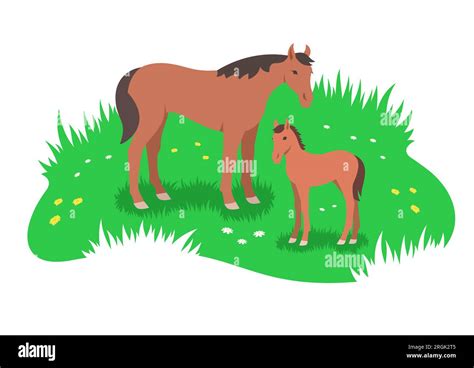 Illustration stylisée d'un cheval et son poulain courant dans un champ