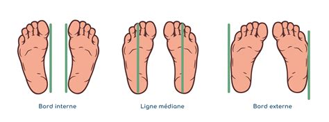 Illustration de la bonne position du pied dans l'étrier