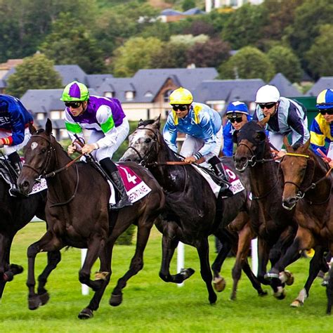 Cheval franchissant une barre au sol