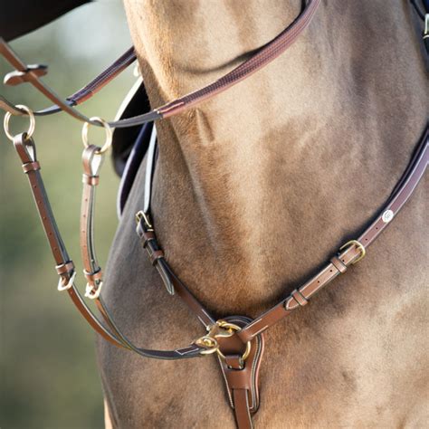 Schéma d'un collier de chasse sur un poney