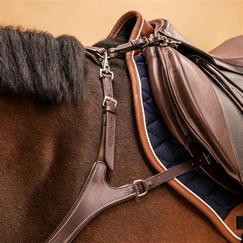 Poney avec un collier de chasse